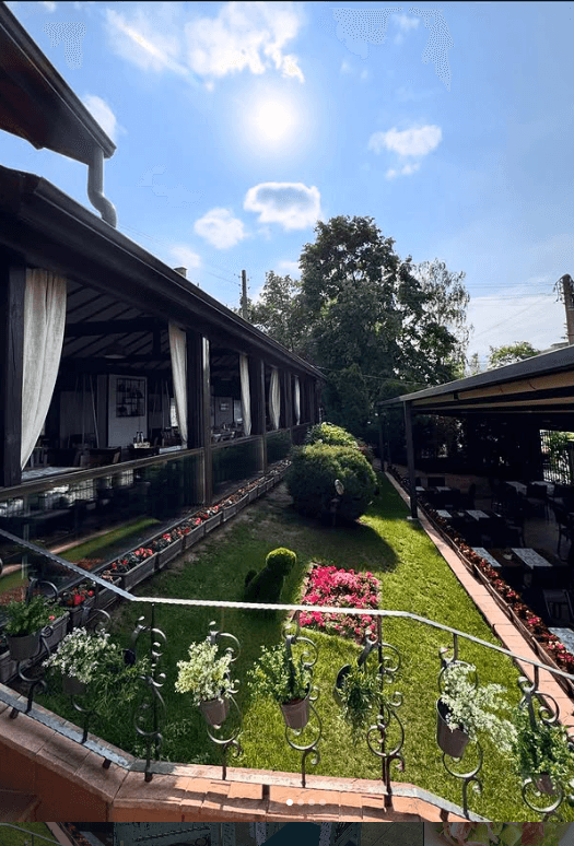 Sunlit garden terrace under the pergola